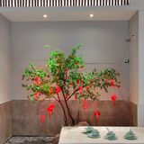 一份牛腩锅仔带给吃货们的快乐