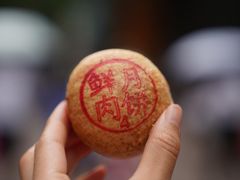 -泰康食品(南京东路店)
