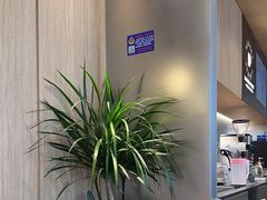 -Peet's 皮爷咖啡(望京小街店)