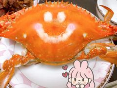 -陶记正宗德州扒鸡(科巷店)