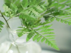 -湘菜时代风味餐厅