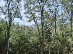 -封龙山风景区