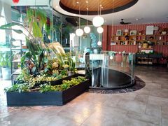 -大快乐牛排咖啡馆·本地西餐厅(南溪钻石城店)