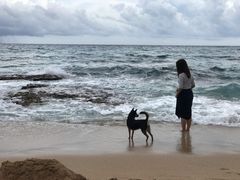 -白沙湾海滩