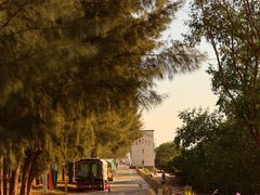 -宝安西湾红树林湿地公园