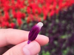 -苏州河梦清园环保主题公园