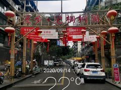 -泡桐树街