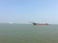 -大湾区中央湿地公园