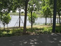-东郊湿地公园
