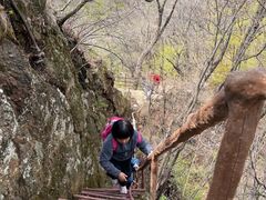 -天女山森林公园