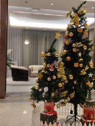 点击看大图 -馨悦诗安国际母婴会所