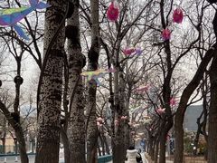 -BOCATA 西班牙餐厅(三里屯店)