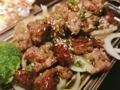 -春草居酒屋·晴子の店