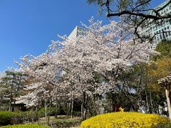 -日本大使馆-新闻文化中心