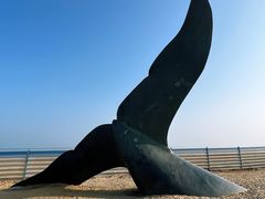 -烟台金沙滩海滨公园