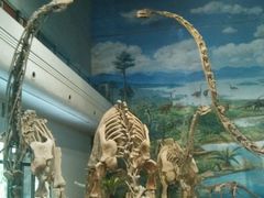 android_upload_pic-自贡恐龙博物馆