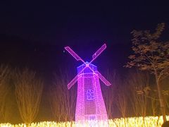 -飞凤山奥体公园