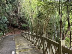 -广州市流溪河国家森林公园