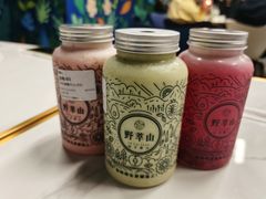 -野萃山·潮汕厚果汁(十亩地店)