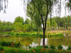 -东郊湿地公园