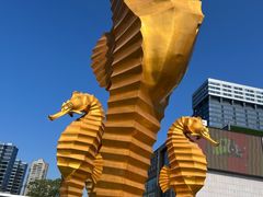 -江和美海洋公园
