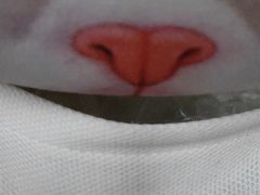 -昆明冠生园·蛋糕·面包(南强街店)