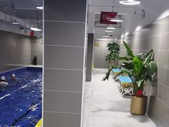 -小蓝鲸游泳培训基地(积水潭店)