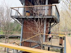 -东郊湿地公园