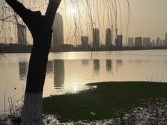 -金银湖国家城市湿地公园