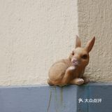 窗台上的小确幸🐇🦉🐌🌿🌹