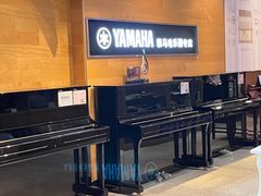 -海音琴行雅马哈钢琴·海伦·施特劳斯(金沙店)