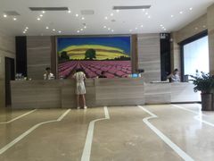 -麗枫酒店(深圳宝安国际机场店)