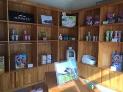 -爱妮康宠物医院·干细胞免疫细胞·肿瘤·心脏(张江店)