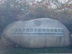 -中国科学院西双版纳热带植物园