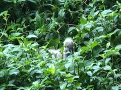 -福建鲤鱼洲酒店