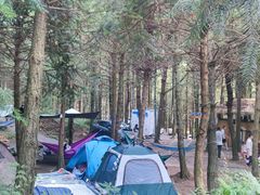 -重庆睡佛山森林公园