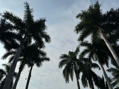-三亚太阳湾柏悦酒店