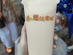 -猫的魔法密林(衣裳街店)