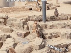 -上方山森林动物世界