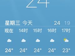 -红荔村肠粉(岗厦店)