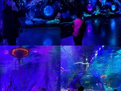 -沈阳海洋探索中心