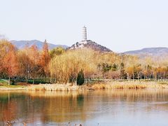 -北坞公园