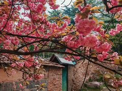-观象山公园