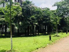 -太阳岛度假酒店