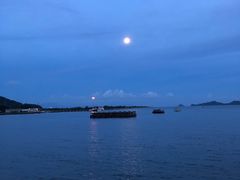 -旺富东海大酒楼(海鲜街店)