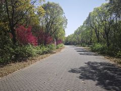 -上海海湾国家森林公园