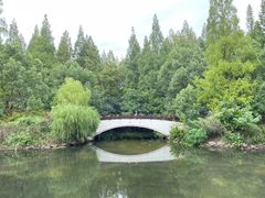 -东平国家森林公园