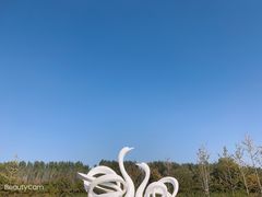 -东郊湿地公园