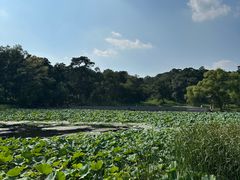 -承德避暑山庄景区