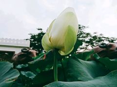 -龙环葡韵住宅式博物馆